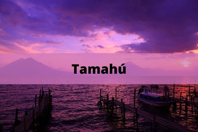 Tamahú